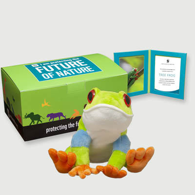 red eyed tree frog Plush, box + frame adoption kit