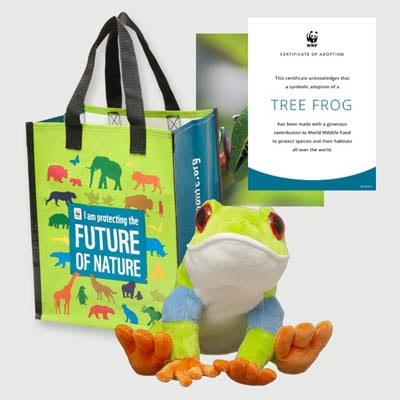 red eyed tree frog Plush adoption kit