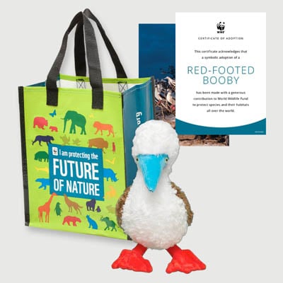 red footed booby Plush adoption kit
