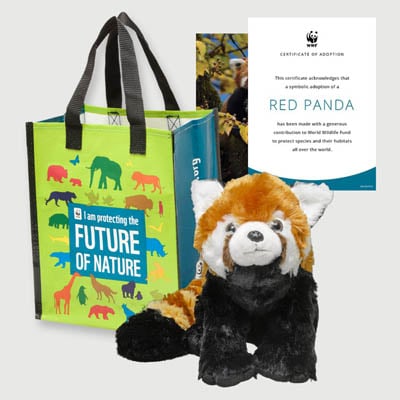 red panda Plush adoption kit