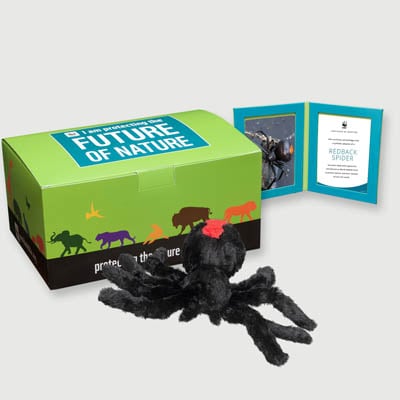 redback spider Plush, box + frame adoption kit