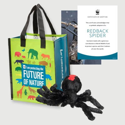 redback spider Plush adoption kit