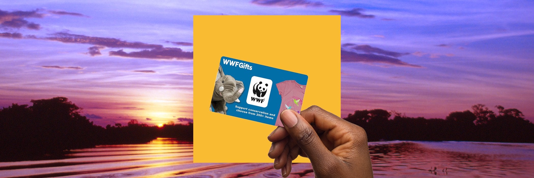 Hand holding WWFGifts gift card in front of yellow square in front of body of water