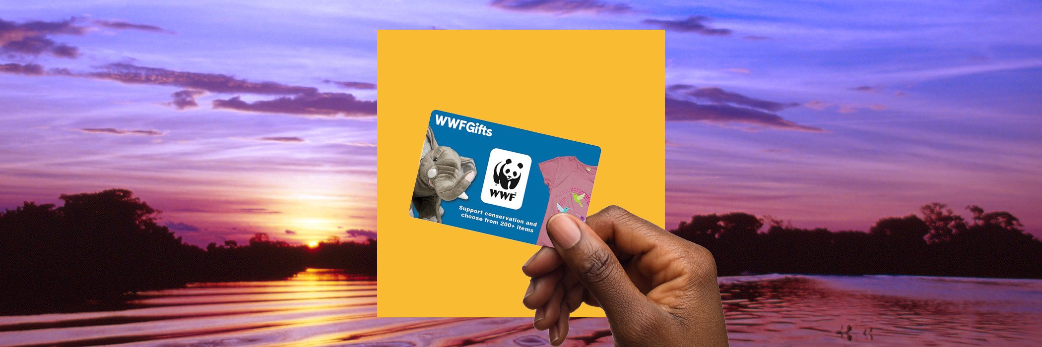 Hand holding WWFGifts gift card in front of yellow square in front of body of water