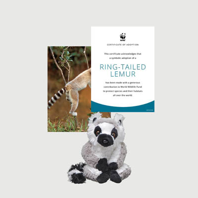 ring tailed lemur Mini plush adoption kit