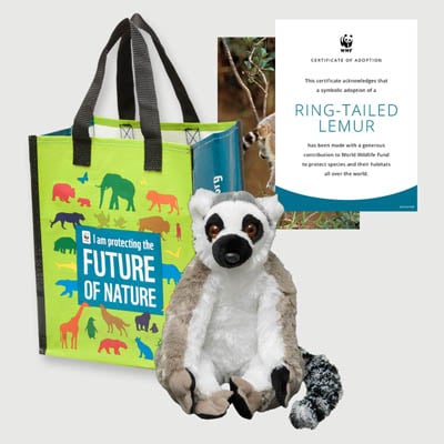 ring tailed lemur Plush adoption kit