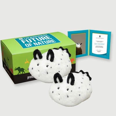 sea bunny Plush, box + frame adoption kit