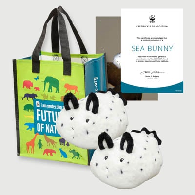sea bunny Plush adoption kit
