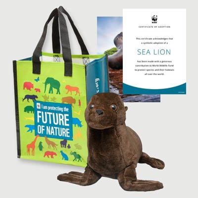 sea lion Plush adoption kit