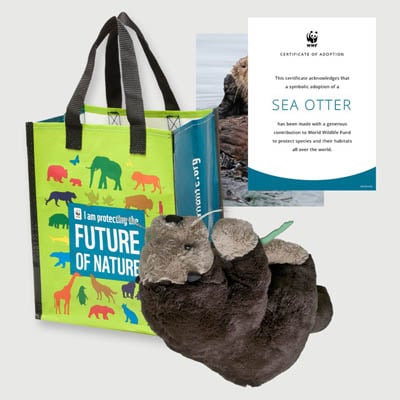 sea otter Plush adoption kit