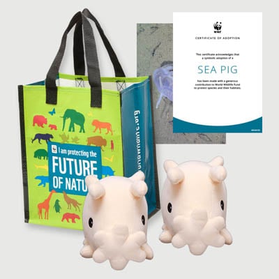 sea pig Plush adoption kit