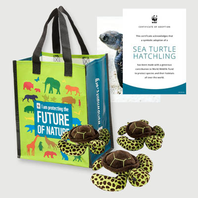sea turtle hatchling Plush adoption kit
