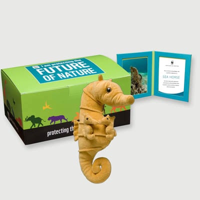 seahorse Plush, box + frame adoption kit
