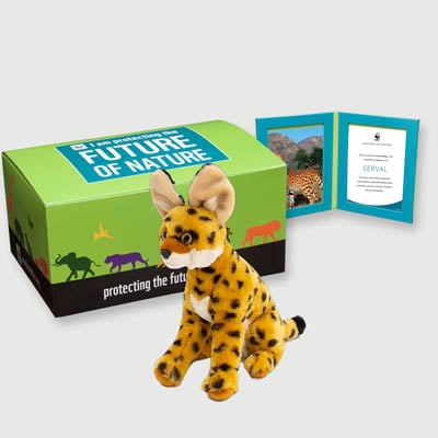 serval Plush, box + frame adoption kit