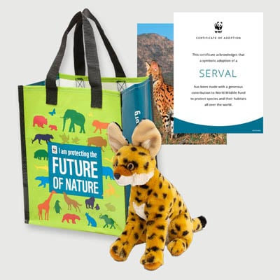 serval Plush adoption kit