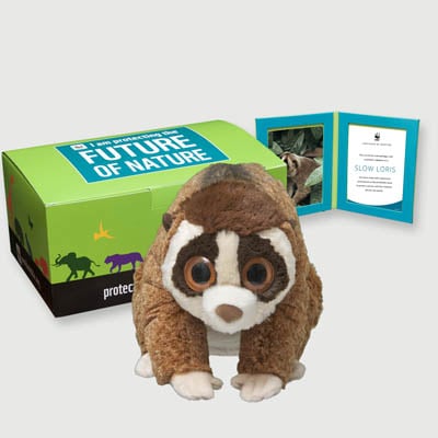 slow loris Plush, box + frame adoption kit