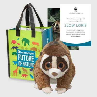 slow loris Plush adoption kit