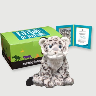 snow leopard Plush, box + frame adoption kit