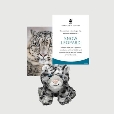 snow leopard Mini plush adoption kit