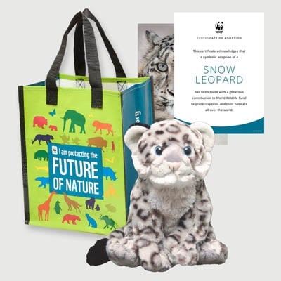 snow leopard Plush adoption kit