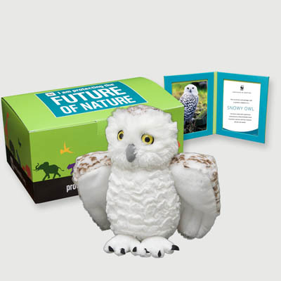 snowy owl Plush, box + frame adoption kit