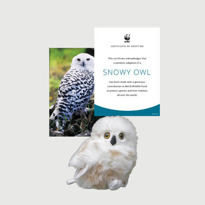 snowy owl Mini plush adoption kit