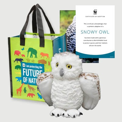 snowy owl Plush adoption kit