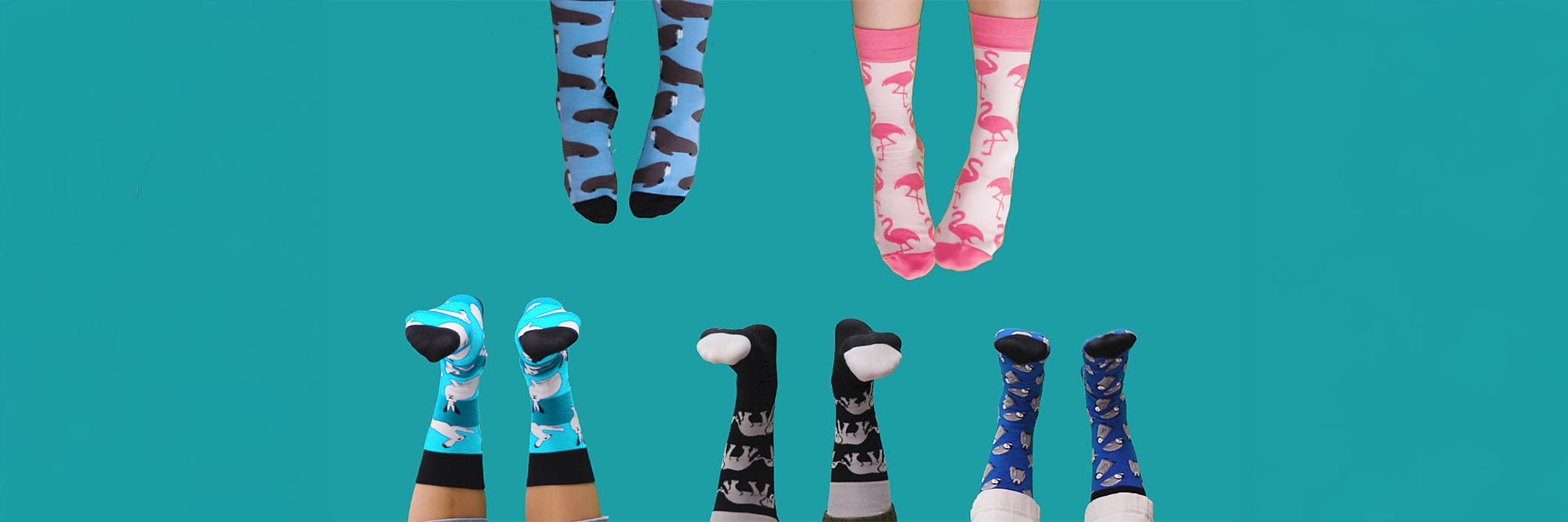 5 pairs of animal-themed socks fill the frame