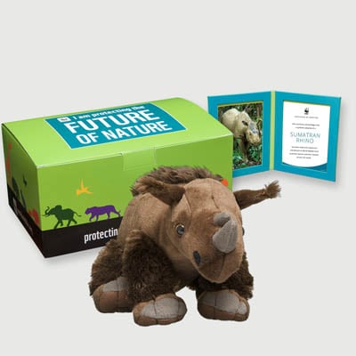 sumatran rhino Plush, box + frame adoption kit