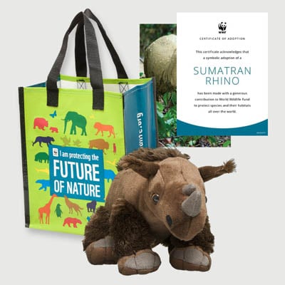 sumatran rhino Plush adoption kit