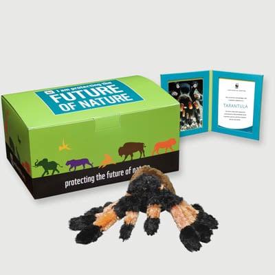 tarantula Plush, box + frame adoption kit