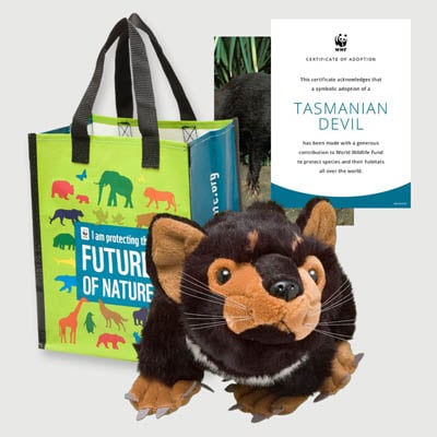 tasmanian devil Plush adoption kit