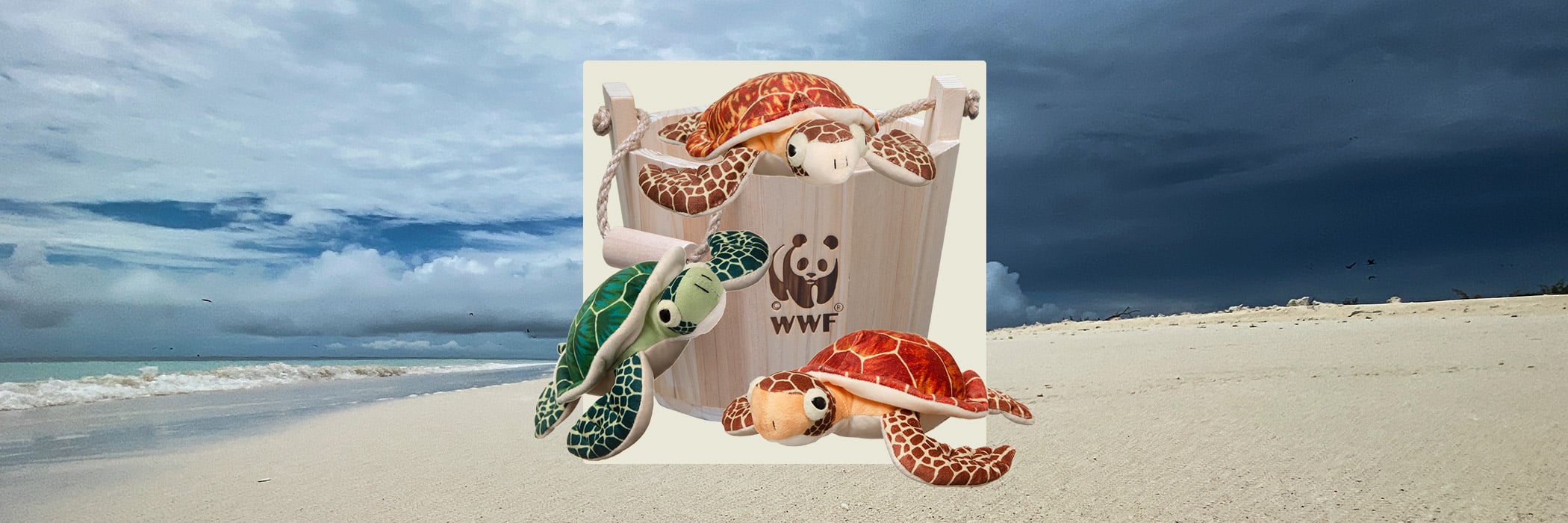 A group of stuffed turtles in a bucket on a beach
