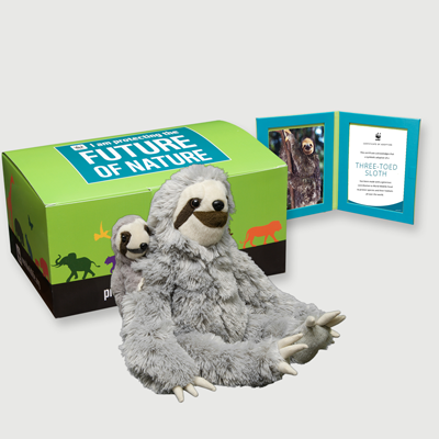 three toed sloth Plush pair adoption kit