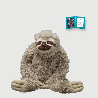 three toed sloth Giant plush adoption kit