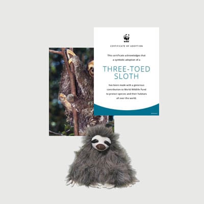three toed sloth Mini plush adoption kit