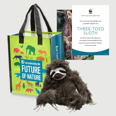 three toed sloth Plush adoption kit