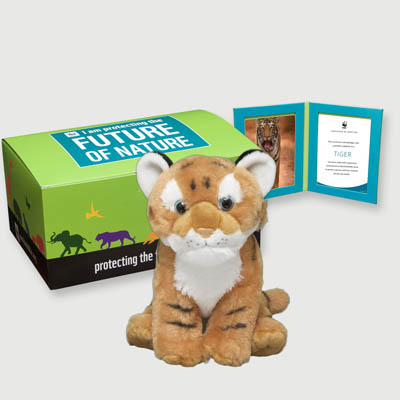tiger Plush, box + frame adoption kit