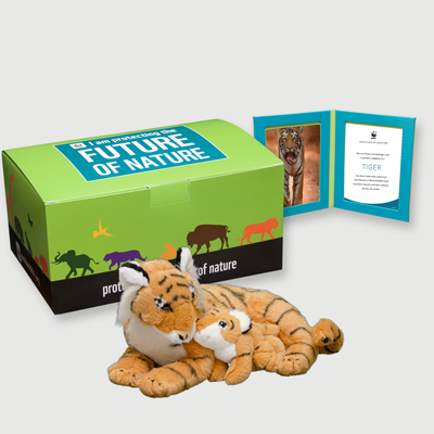 tiger Plush pair adoption kit
