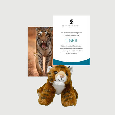 tiger Mini plush adoption kit