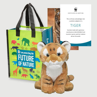 tiger Plush adoption kit