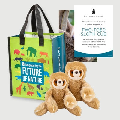 two toed sloth cub Plush adoption kit