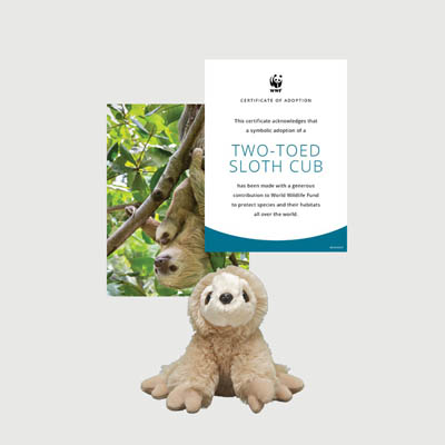 two toed sloth Mini plush adoption kit