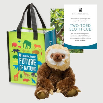 two toed sloth Plush adoption kit