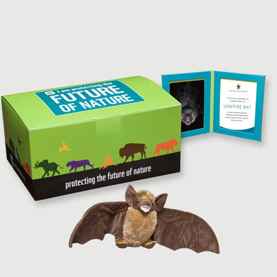 vampire bat Plush, box + frame adoption kit