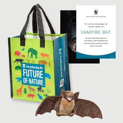 vampire bat Plush adoption kit