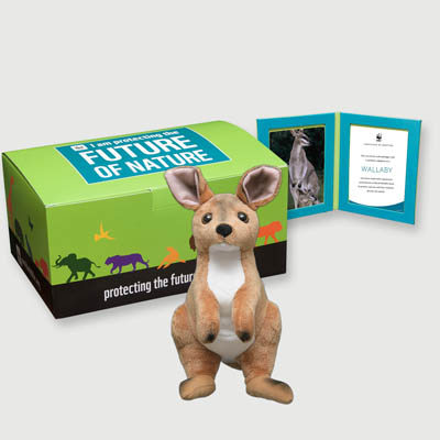 wallaby Plush, box + frame adoption kit