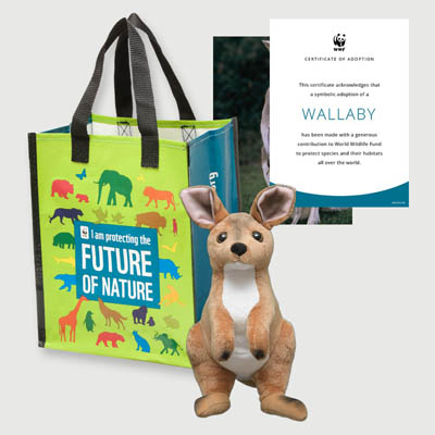 wallaby Plush adoption kit