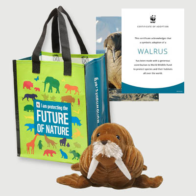 walrus Plush adoption kit