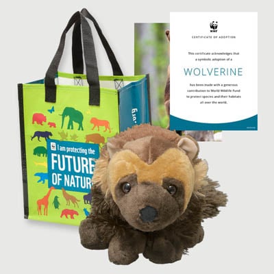 wolverine Plush adoption kit